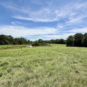 Photo #35 of 8341 Riley Hill Road, Zebulon, NC 35.6 acres