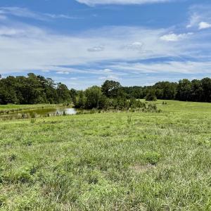 Photo #36 of 8341 Riley Hill Road, Zebulon, NC 35.6 acres