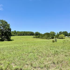 Photo #37 of 8341 Riley Hill Road, Zebulon, NC 35.6 acres