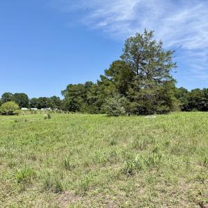Photo #38 of 8341 Riley Hill Road, Zebulon, NC 35.6 acres