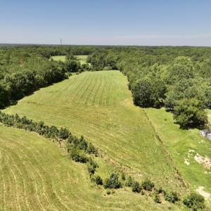 Photo #4 of 8341 Riley Hill Road, Zebulon, NC 35.6 acres
