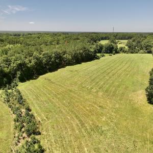 Photo #5 of 8341 Riley Hill Road, Zebulon, NC 35.6 acres