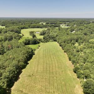 Photo #6 of 8341 Riley Hill Road, Zebulon, NC 35.6 acres