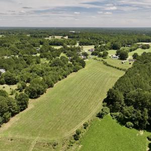 Photo #8 of 8341 Riley Hill Road, Zebulon, NC 35.6 acres