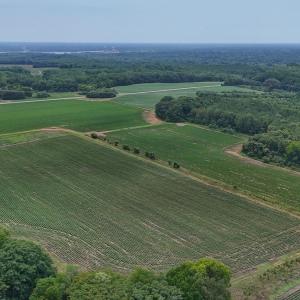 Photo #12 of 0f off NC 46 Hwy, Gaston, NC 10.0 acres