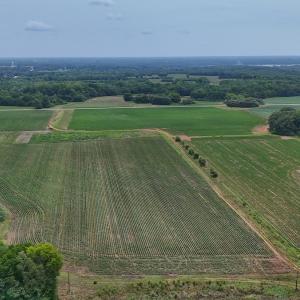 Photo #13 of 0f off NC 46 Hwy, Gaston, NC 10.0 acres