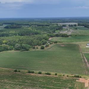 Photo #19 of 0f off NC 46 Hwy, Gaston, NC 10.0 acres
