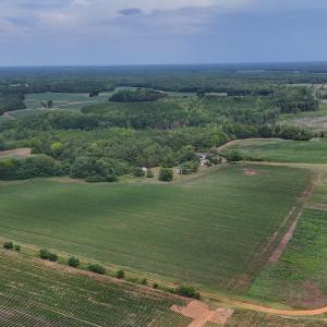 Photo #20 of 0f off NC 46 Hwy, Gaston, NC 10.0 acres