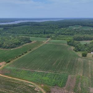 Photo #25 of 0f off NC 46 Hwy, Gaston, NC 10.0 acres