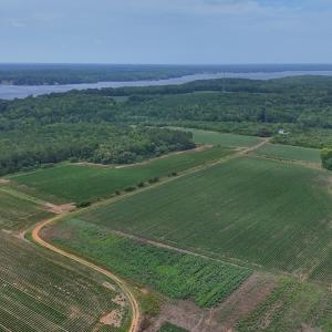 Photo #26 of 0f off NC 46 Hwy, Gaston, NC 10.0 acres