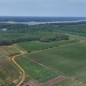Photo #27 of 0f off NC 46 Hwy, Gaston, NC 10.0 acres