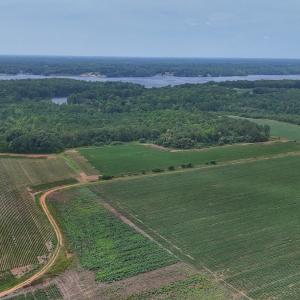 Photo #29 of 0f off NC 46 Hwy, Gaston, NC 10.0 acres