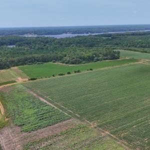 Photo #3 of 0f off NC 46 Hwy, Gaston, NC 10.0 acres