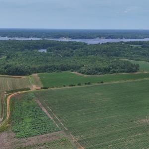 Photo #30 of 0f off NC 46 Hwy, Gaston, NC 10.0 acres