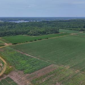 Photo #32 of 0f off NC 46 Hwy, Gaston, NC 10.0 acres