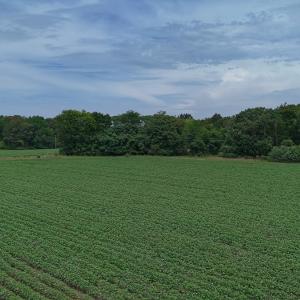 Photo #33 of 0f off NC 46 Hwy, Gaston, NC 10.0 acres