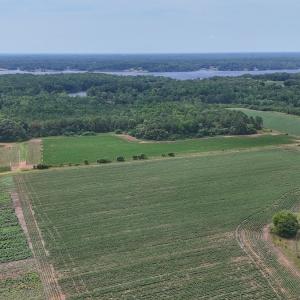 Photo #5 of 0f off NC 46 Hwy, Gaston, NC 10.0 acres