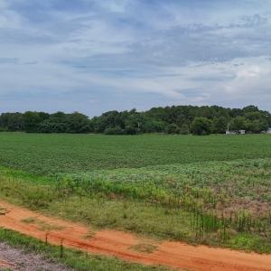 Photo #8 of 0f off NC 46 Hwy, Gaston, NC 10.0 acres