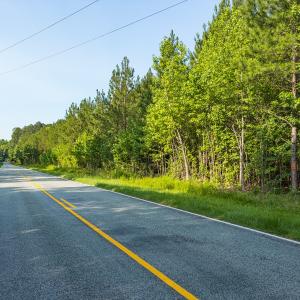 Photo #3 of Off of Cassam Road, Bahama, NC 10.1 acres