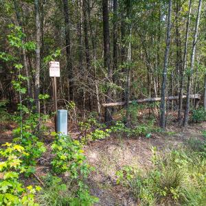 Photo #7 of Off of Cassam Road, Bahama, NC 10.1 acres