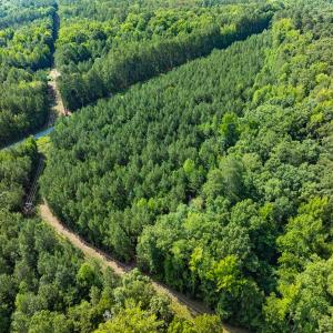 Photo #10 of Off of Cassam Road, Bahama, NC 10.1 acres