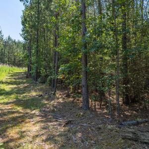 Photo #16 of Off of Cassam Road, Bahama, NC 10.1 acres