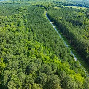 Photo #18 of Off of Cassam Road, Bahama, NC 10.1 acres