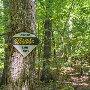 Photo #20 of Off of Cassam Road, Bahama, NC 10.1 acres