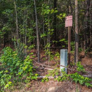Photo #27 of Off of Cassam Road, Bahama, NC 10.1 acres