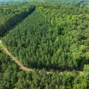 Photo #34 of Off of Cassam Road, Bahama, NC 10.1 acres