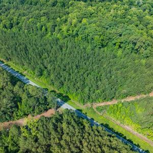 Photo #36 of Off of Cassam Road, Bahama, NC 10.1 acres