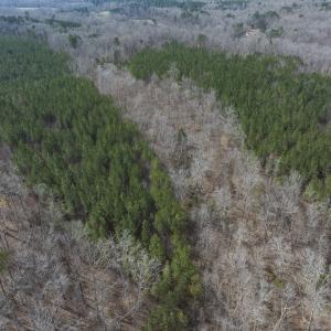 Photo #37 of Off of Cassam Road, Bahama, NC 10.1 acres
