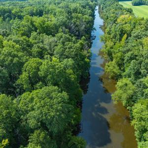 Photo #5 of Off of Cassam Road, Bahama, NC 21.7 acres