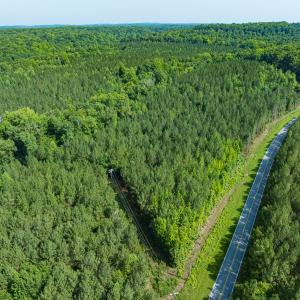 Photo #8 of Off of Cassam Road, Bahama, NC 21.7 acres