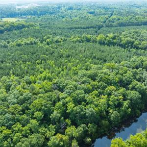 Photo #13 of Off of Cassam Road, Bahama, NC 21.7 acres