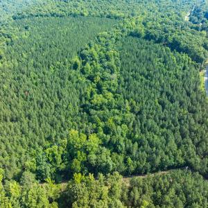 Photo #19 of Off of Cassam Road, Bahama, NC 21.7 acres