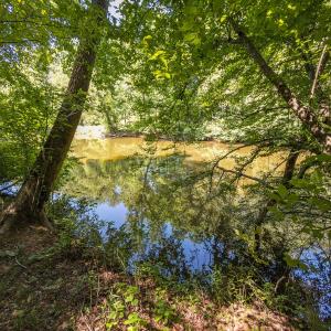 Photo #23 of Off of Cassam Road, Bahama, NC 21.7 acres