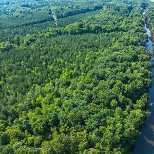 Photo #24 of Off of Cassam Road, Bahama, NC 21.7 acres