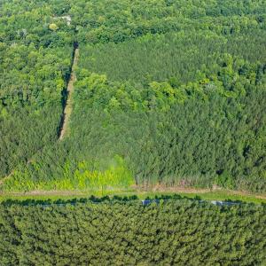 Photo #27 of Off of Cassam Road, Bahama, NC 21.7 acres