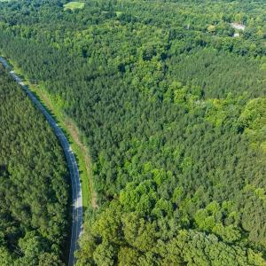 Photo #29 of Off of Cassam Road, Bahama, NC 21.7 acres