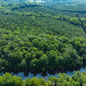 Photo #36 of Off of Cassam Road, Bahama, NC 21.7 acres
