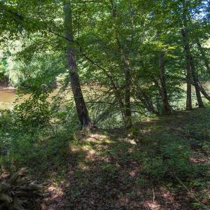 Photo #37 of Off of Cassam Road, Bahama, NC 21.7 acres