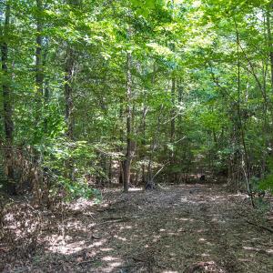 Photo #46 of Off of Cassam Road, Bahama, NC 21.7 acres