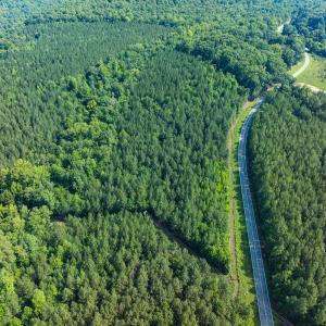 Photo #47 of Off of Cassam Road, Bahama, NC 21.7 acres