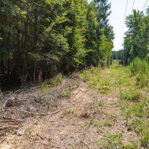 Photo #48 of Off of Cassam Road, Bahama, NC 21.7 acres