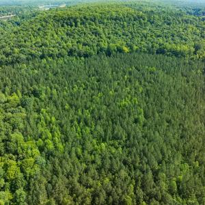Photo #3 of Off of Cassam Road, Bahama, NC 32.7 acres