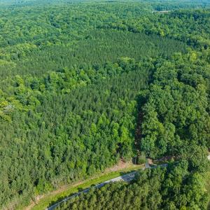 Photo #8 of Off of Cassam Road, Bahama, NC 32.7 acres