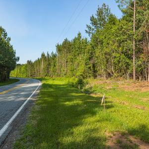Photo #10 of Off of Cassam Road, Bahama, NC 32.7 acres