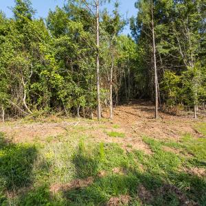 Photo #11 of Off of Cassam Road, Bahama, NC 32.7 acres