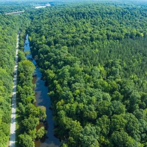 Photo #16 of Off of Cassam Road, Bahama, NC 32.7 acres